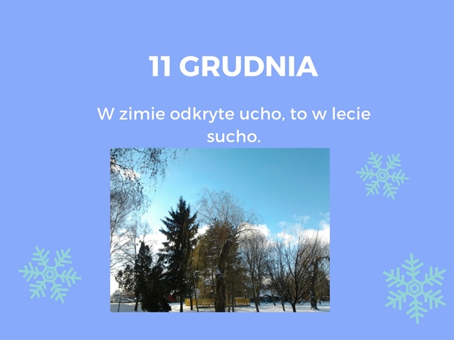Plakat przedstawiający drzewa na tle zimowego krajobrazu. Na górze przysłowie: ,,W zimie odkryte ucho, to w lecie sucho’’.